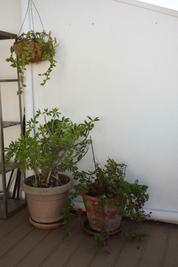 דירות פורטו Terraco Da Boavista מראה חיצוני תמונה